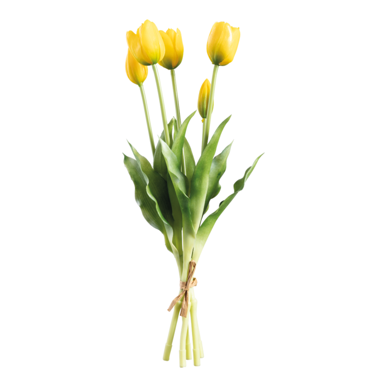 Tulip bunch,