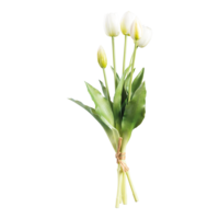 Tulip bunch,