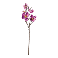 Magnolia spray,