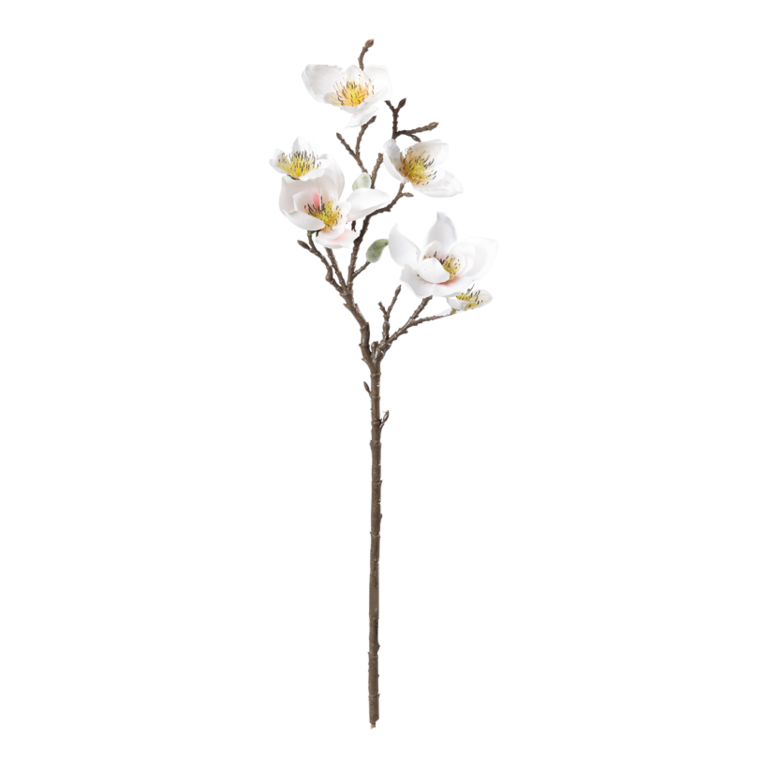 Magnolia spray,