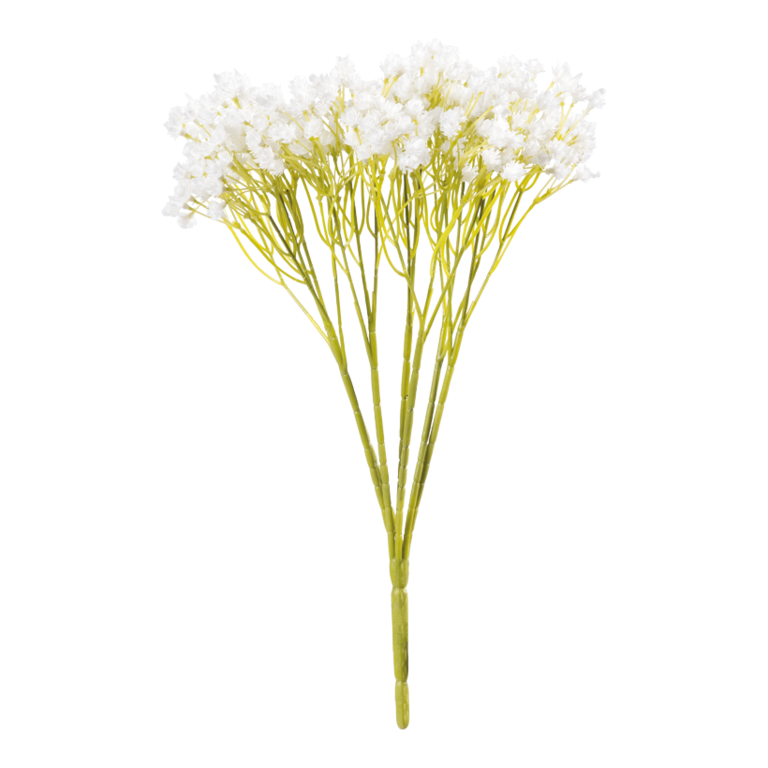 Babybreath bundle,