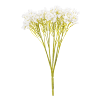 Babybreath bundle,