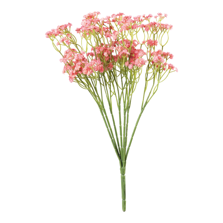 Babybreath bundle,