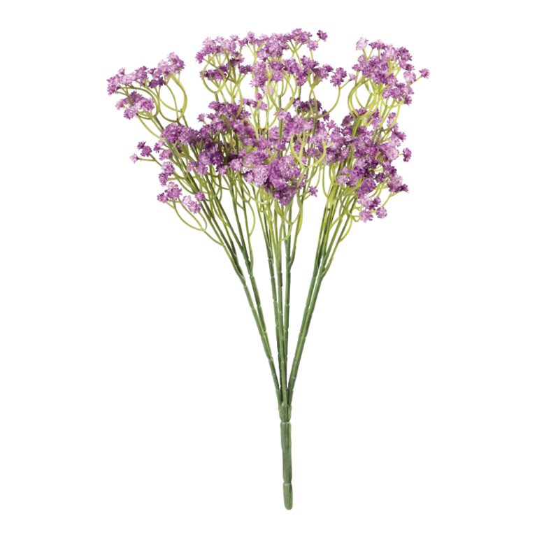 Babybreath bundle,