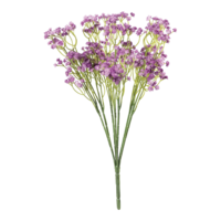 Babybreath bundle,