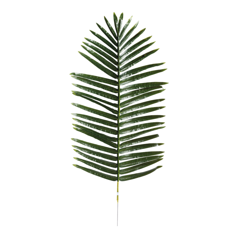 Palm leaf,