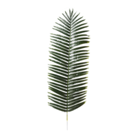 Palm leaf,