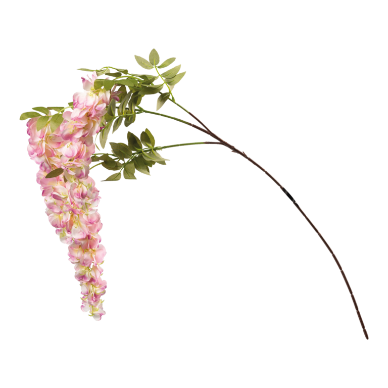 Wisteria spray,
