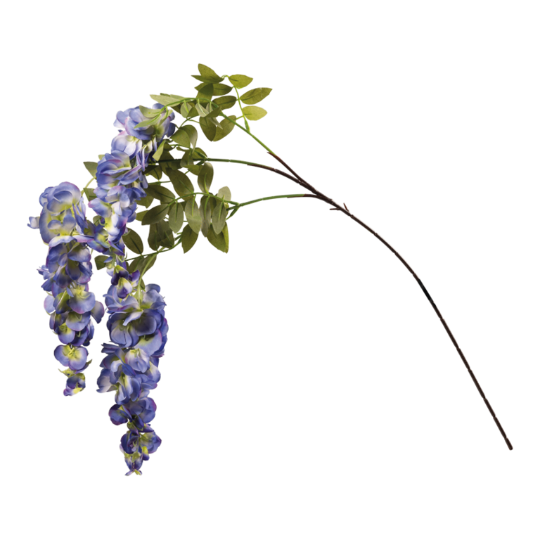 Wisteria spray,