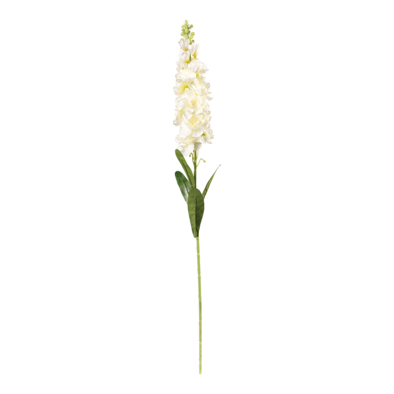 Hyacinth on stem,