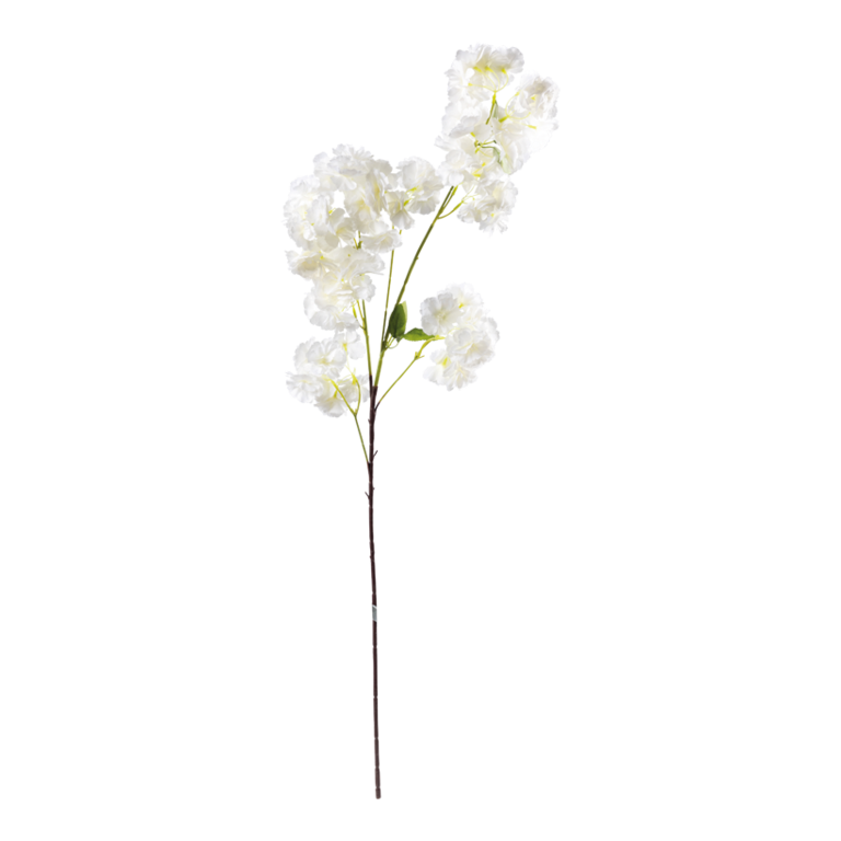 Cherry blossom spray,
