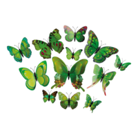 3D Butterflies,
