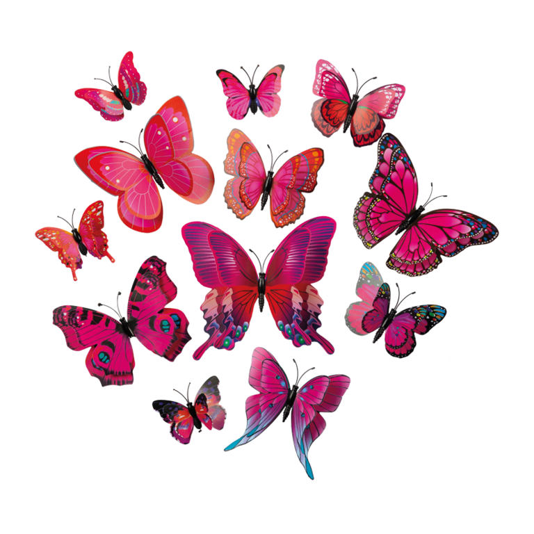 3D Butterflies,