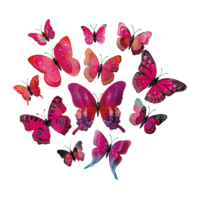 3D Butterflies,