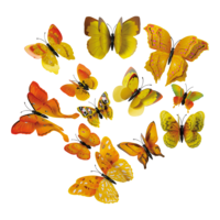 3D Butterflies,