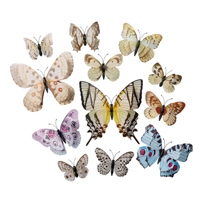 3D Butterflies,