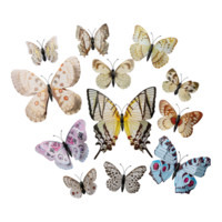 3D Butterflies,
