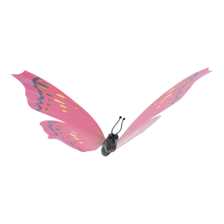Butterfly,