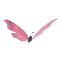 Butterfly,