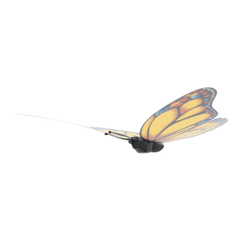 Butterfly,