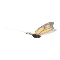 Butterfly,