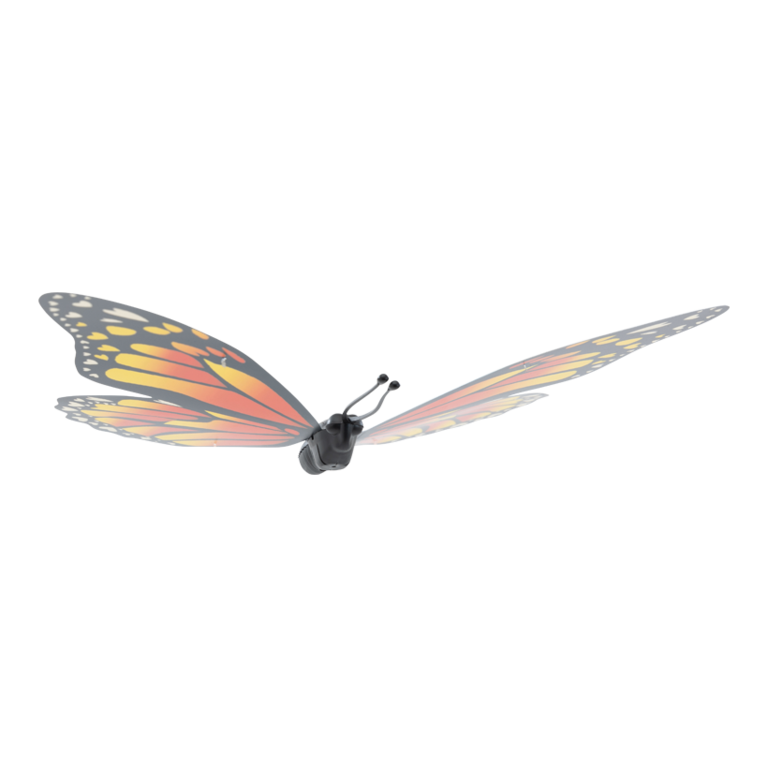 Butterfly,