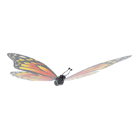Butterfly,