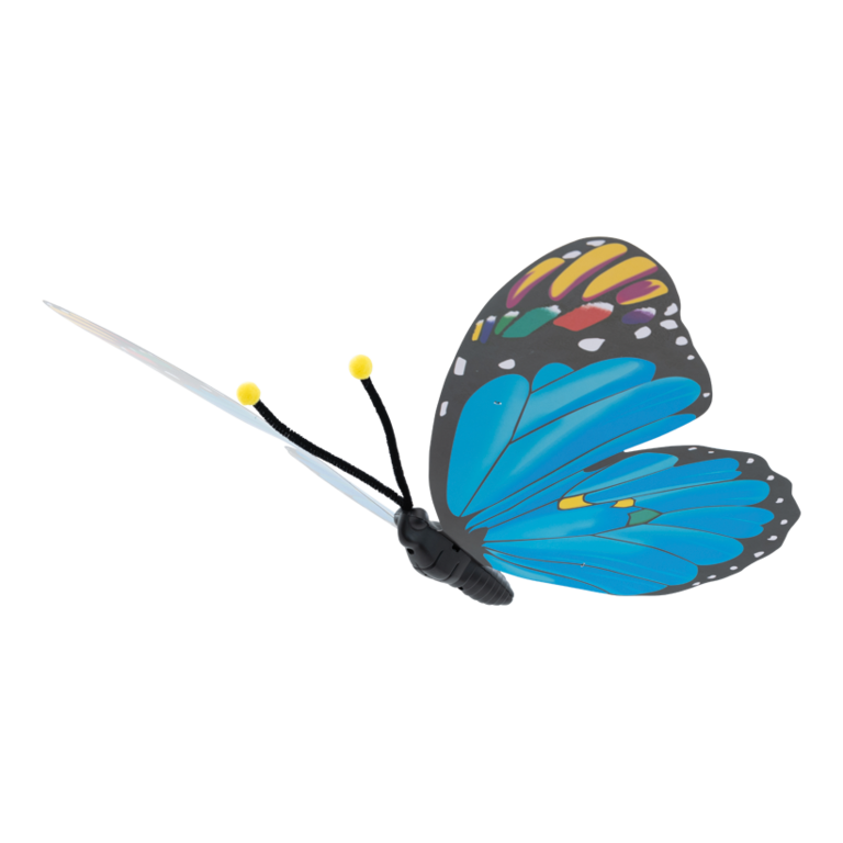 Butterfly,