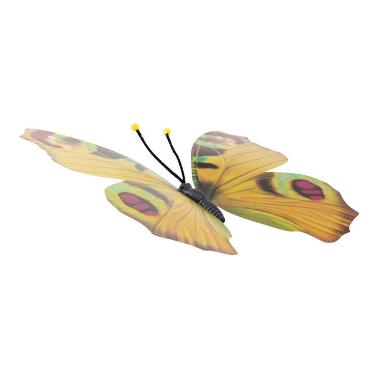 Butterfly,