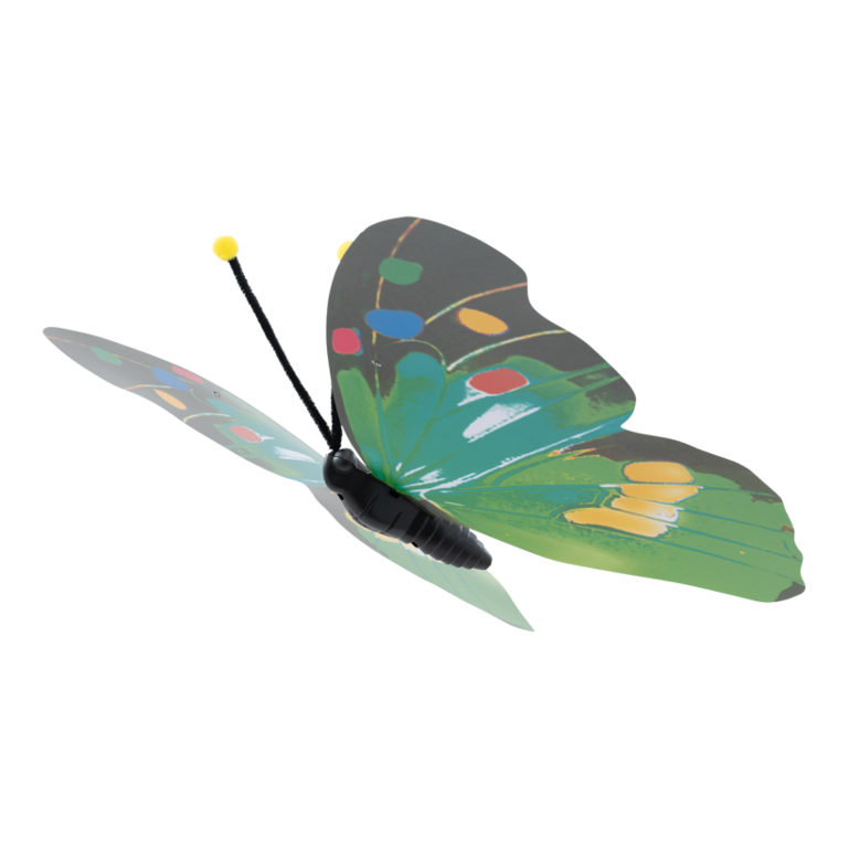 Butterfly,