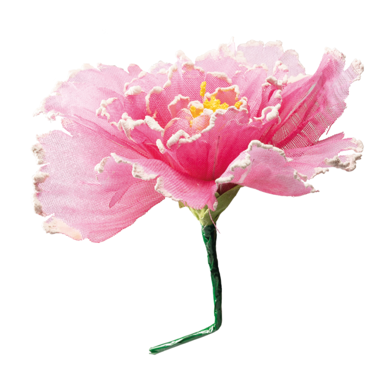 Blossom,
