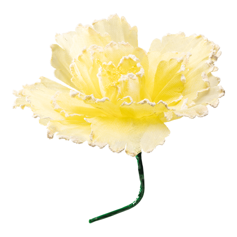 Blossom,