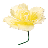 Blossom,