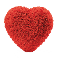 Rose heart,