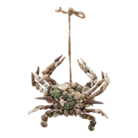 Crab,