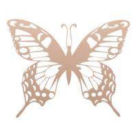 Butterfly,