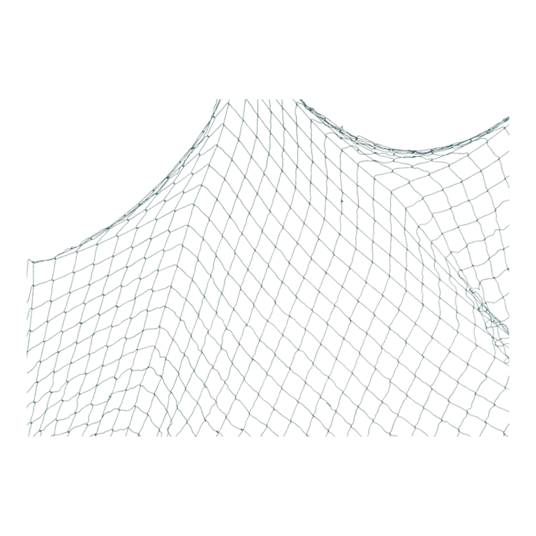"Net ""Adriatic"","
