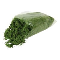 Moss,