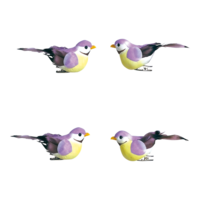 # Birds