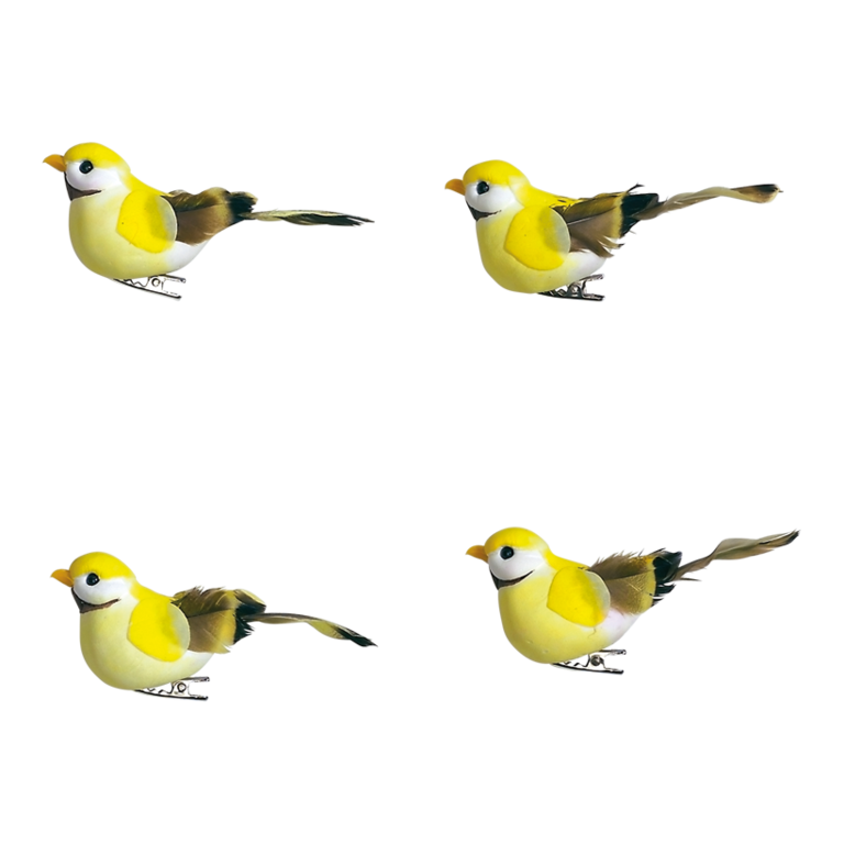 # Birds