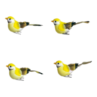 # Birds