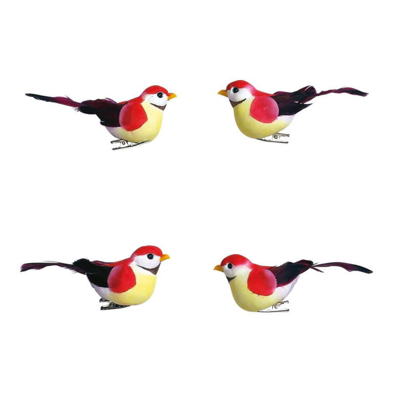 # Birds