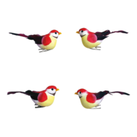# Birds