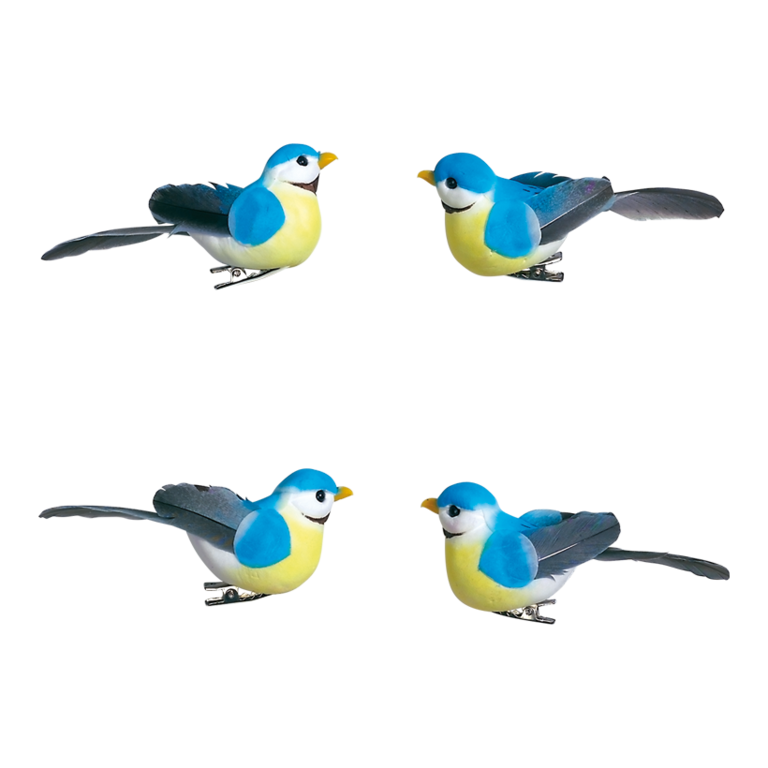 # Birds