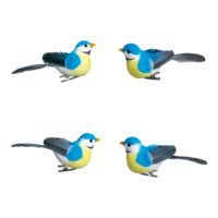 # Birds