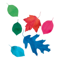 # Leaves, set of 6,