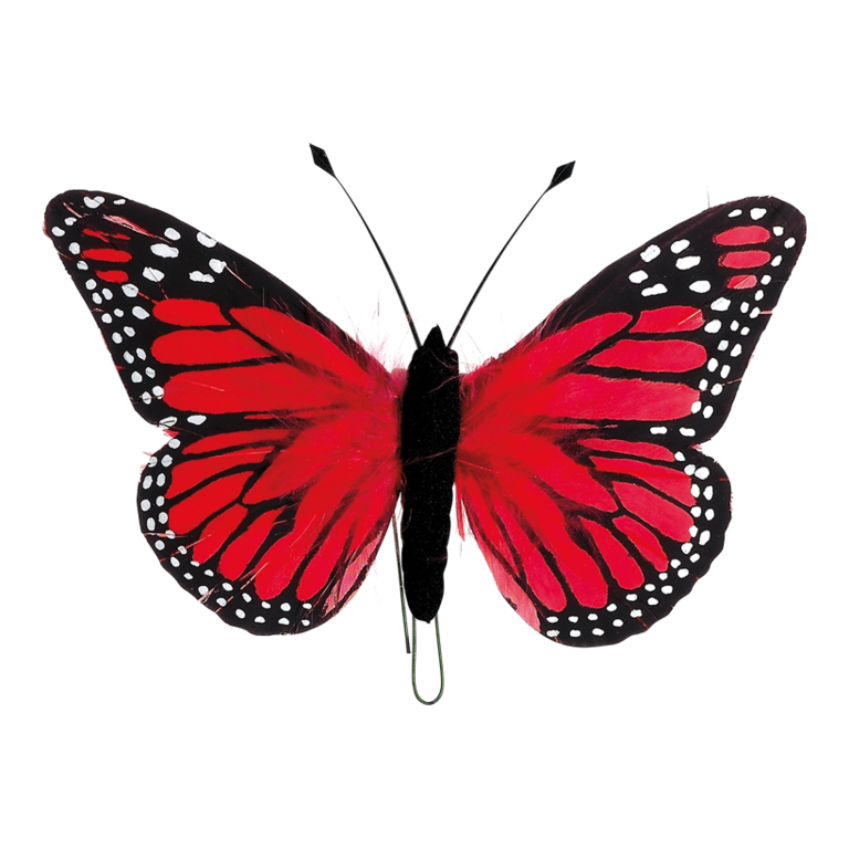 # Butterfly