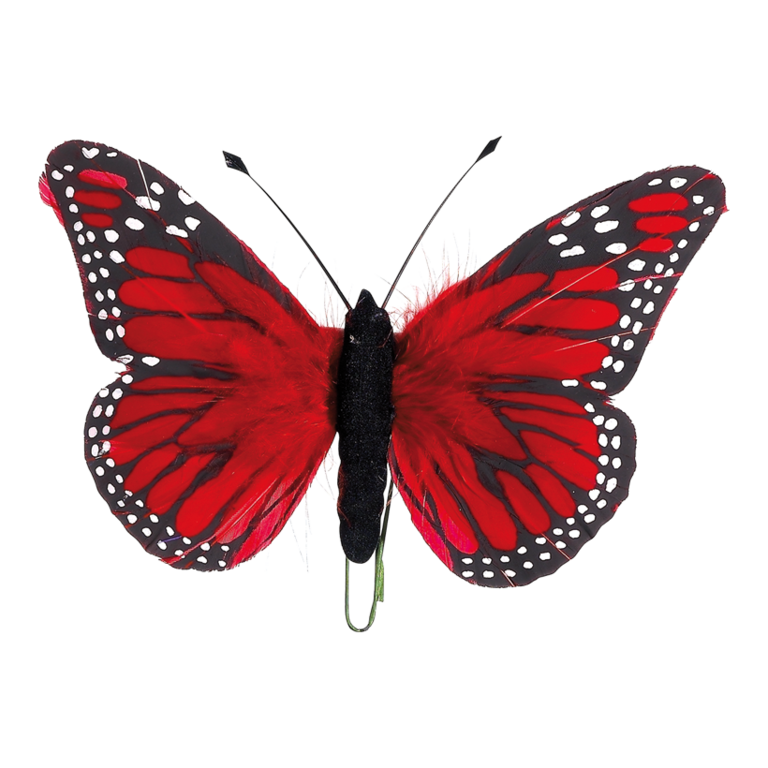 # Butterfly