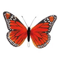 # Butterfly