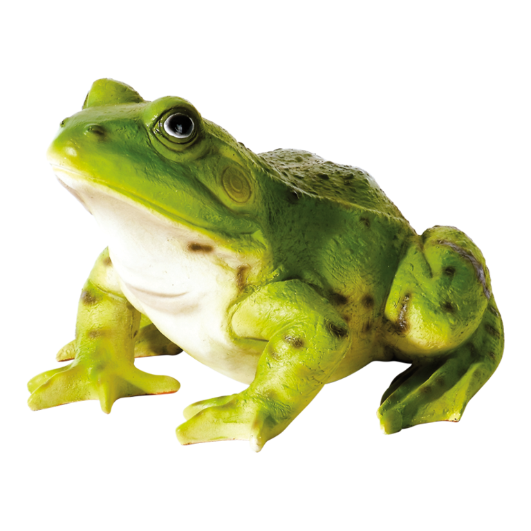 # Frog